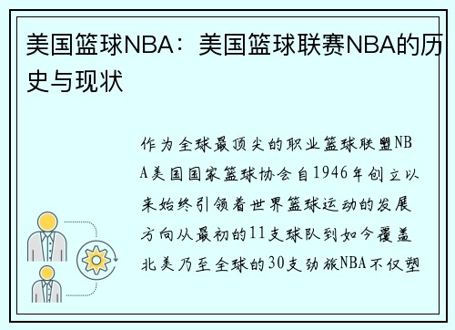 美国篮球NBA：美国篮球联赛NBA的历史与现状