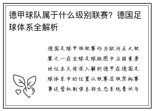 德甲球队属于什么级别联赛？德国足球体系全解析